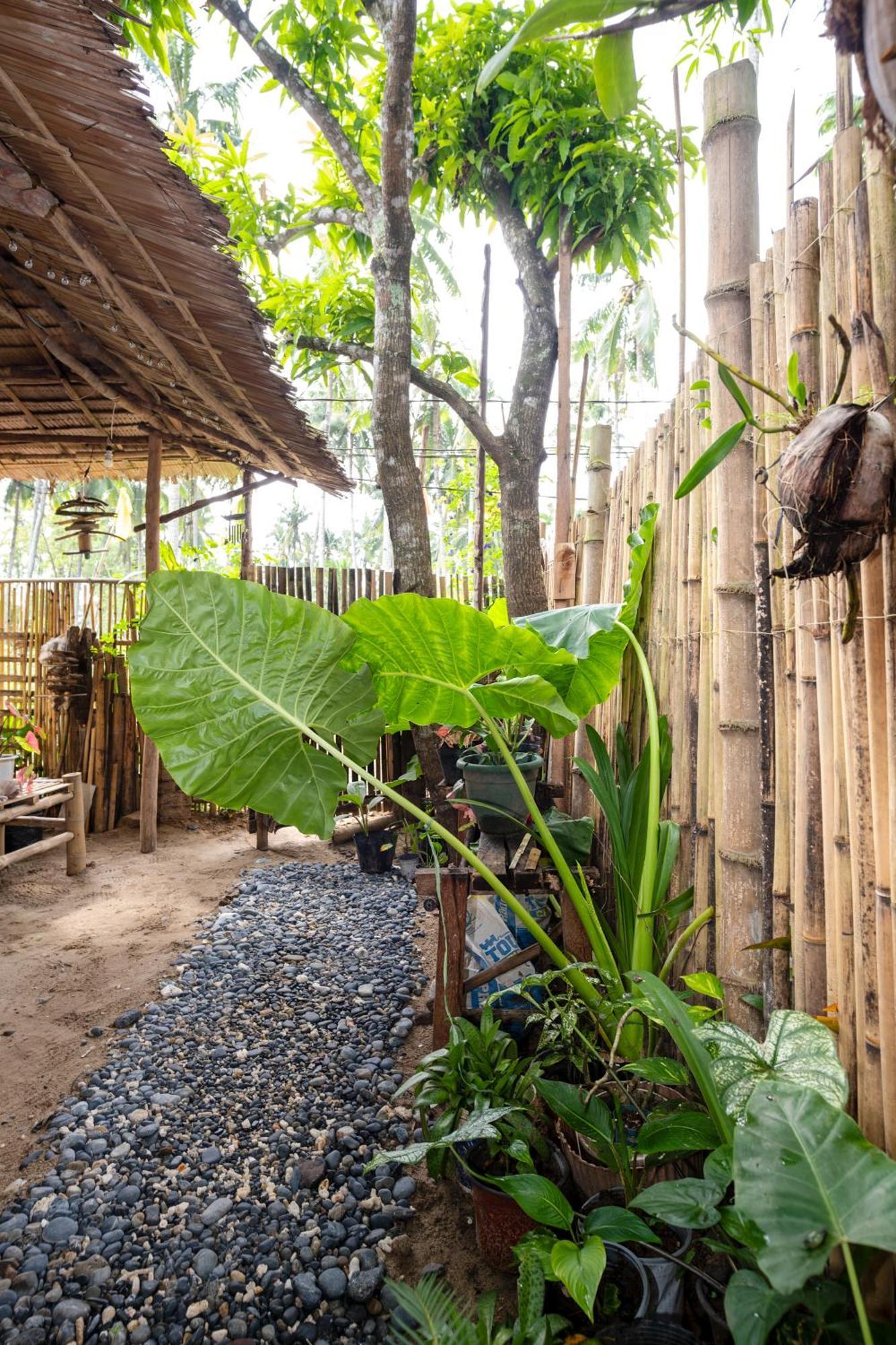 Femya Native House Appartement El Nido Buitenkant foto